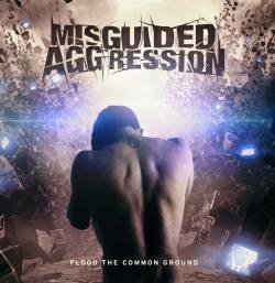 Misguided Aggression : Flood the Common Ground